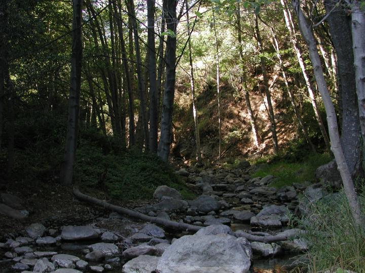 Solstice Canyon