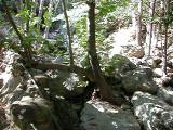 Solstice Canyon Waterfall